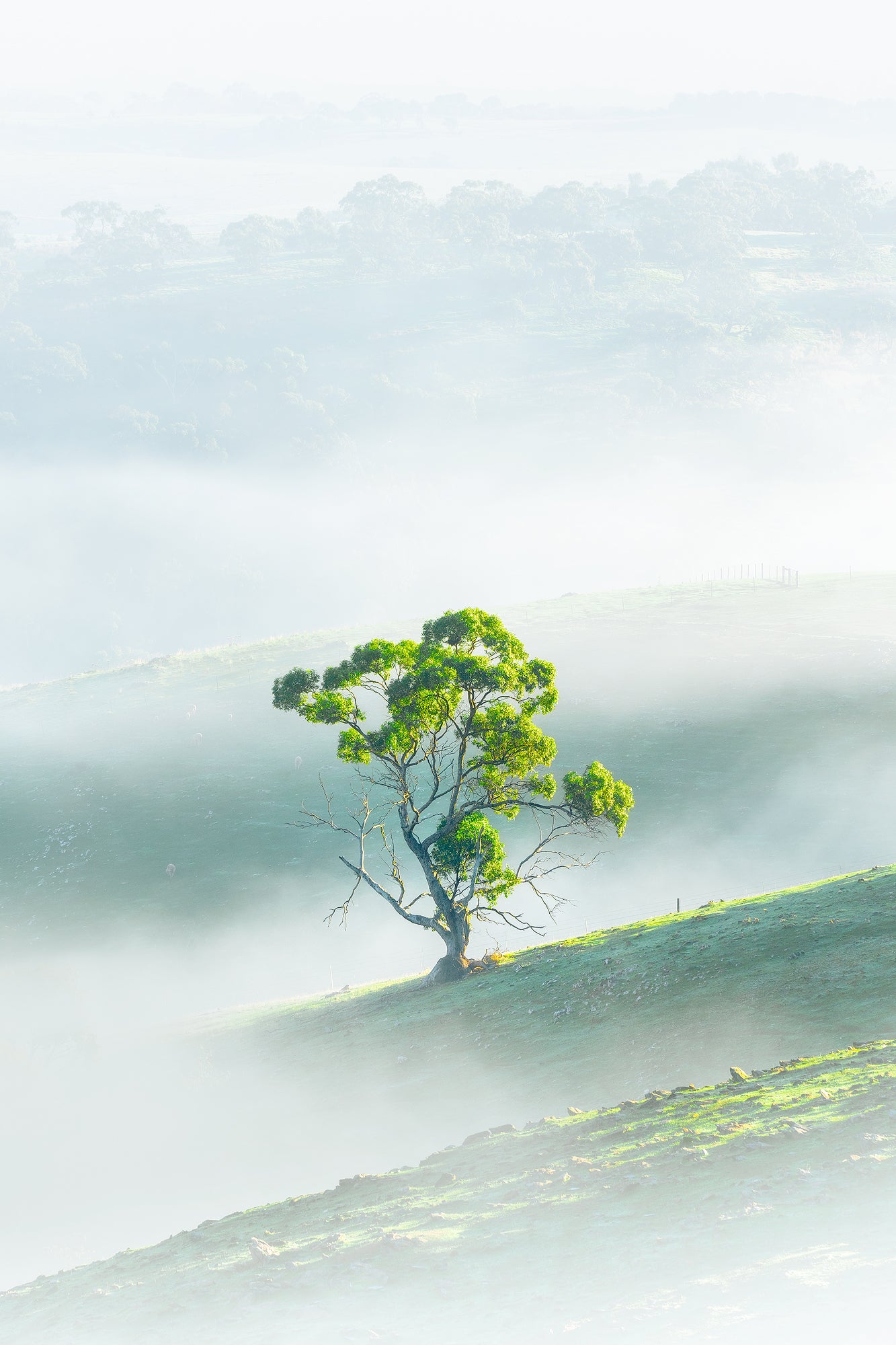 Exclusion Zone - Premium Collection