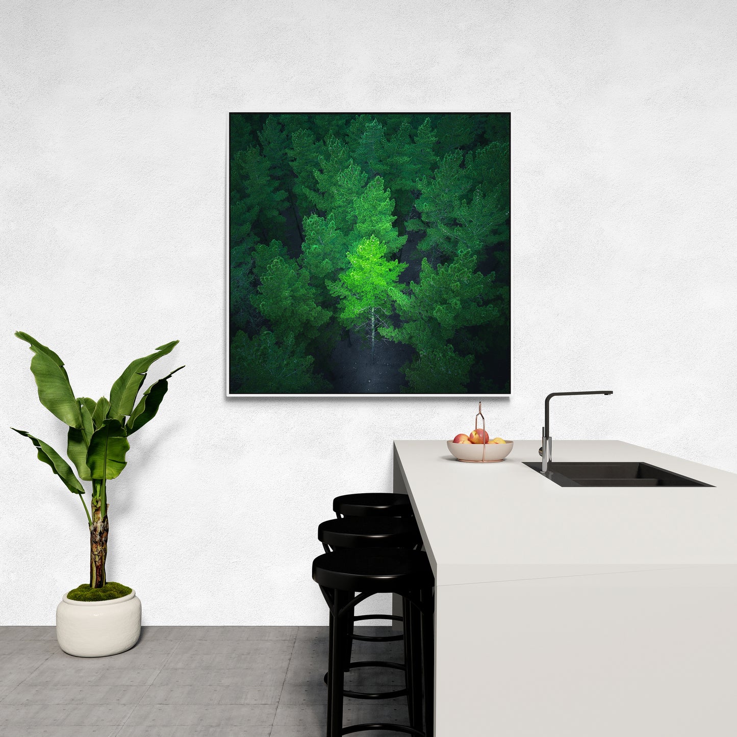 Favoured - Fresh Air Series