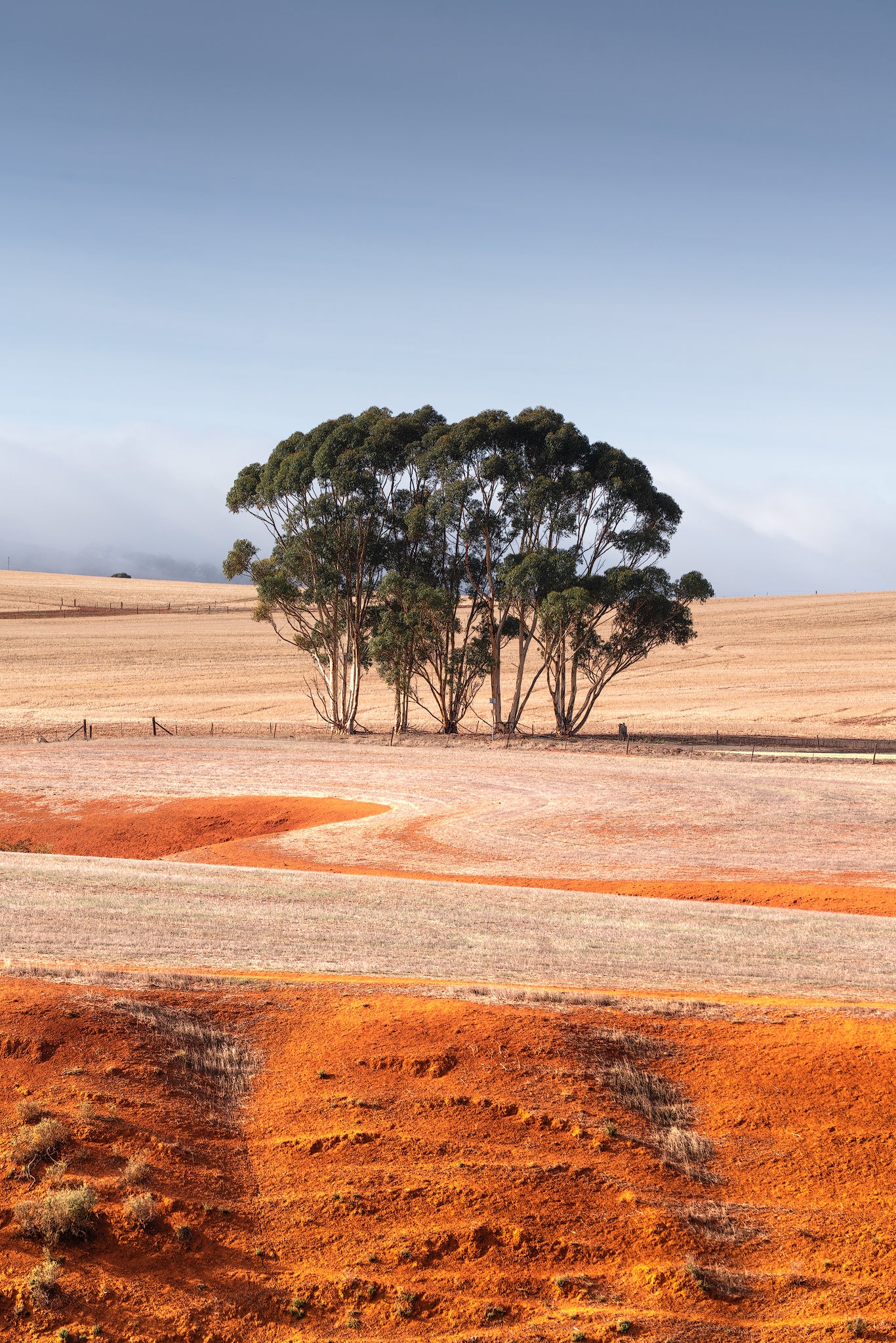 Ochre Dream