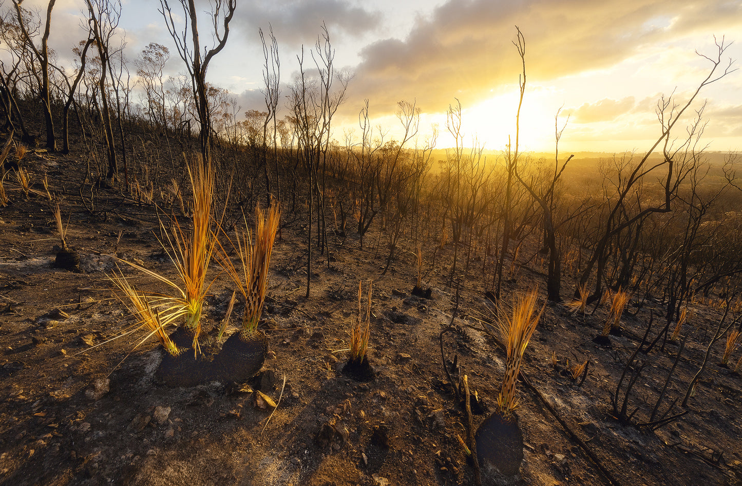 Dangerous Ground - Rebirth Series