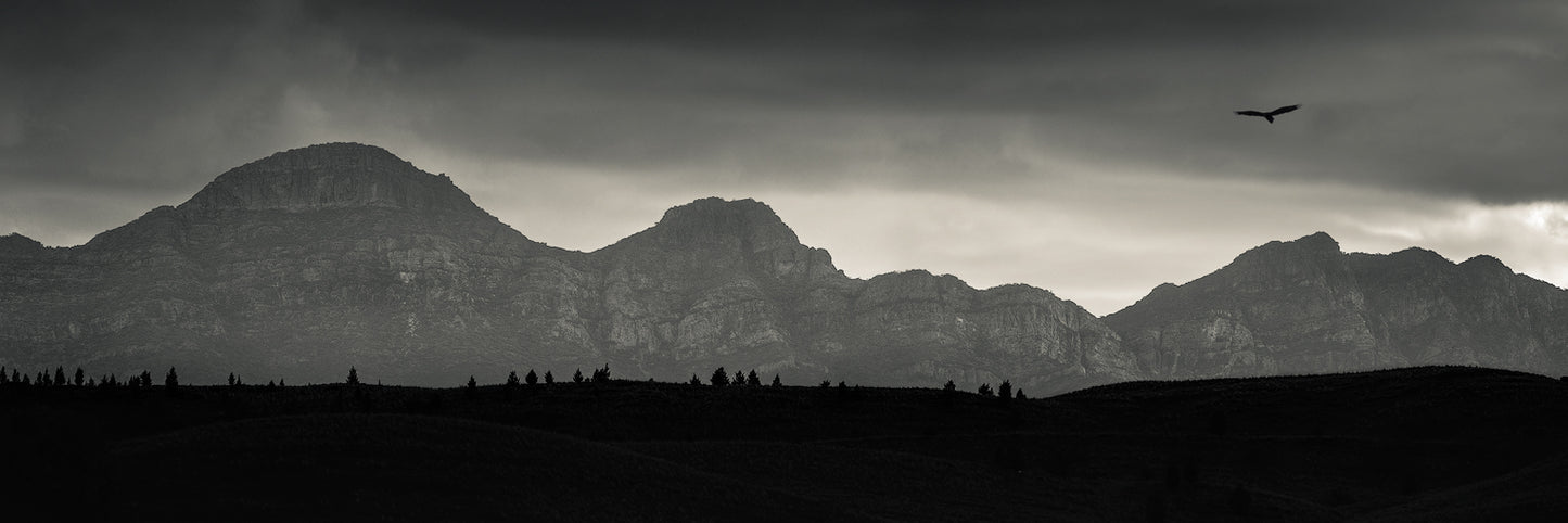 Desperado - Soul Deep Series