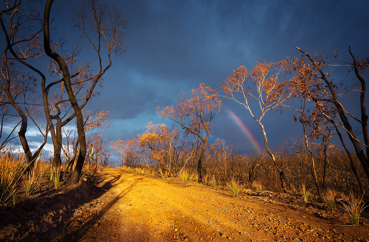 Hope for a New Day - Rebirth Series