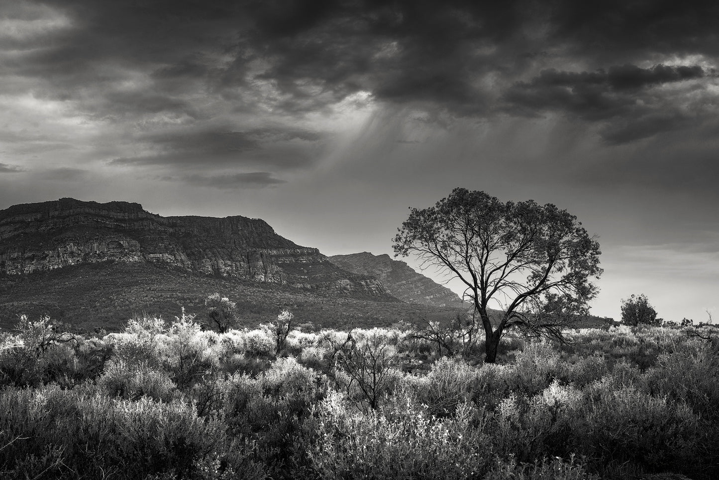 No Regrets - Soul Deep Series