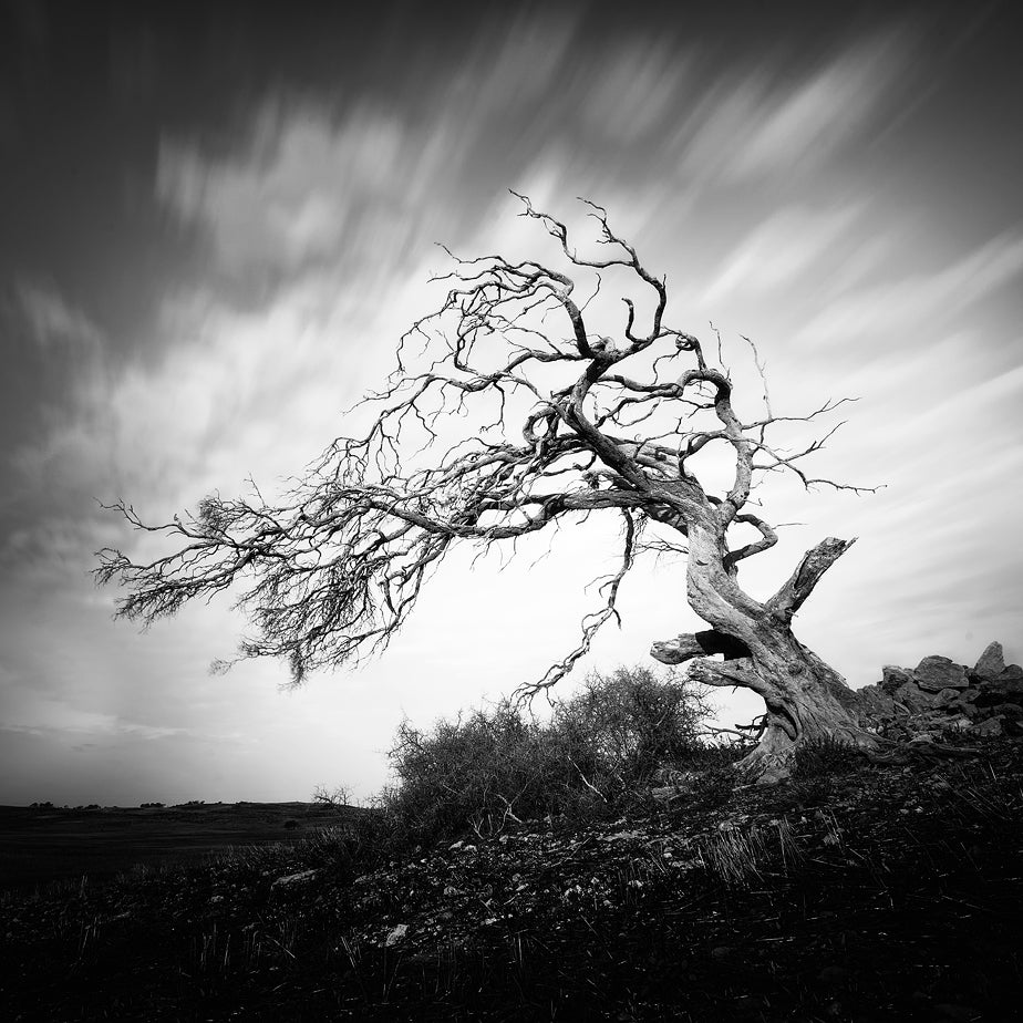 Fearless - Mini Range