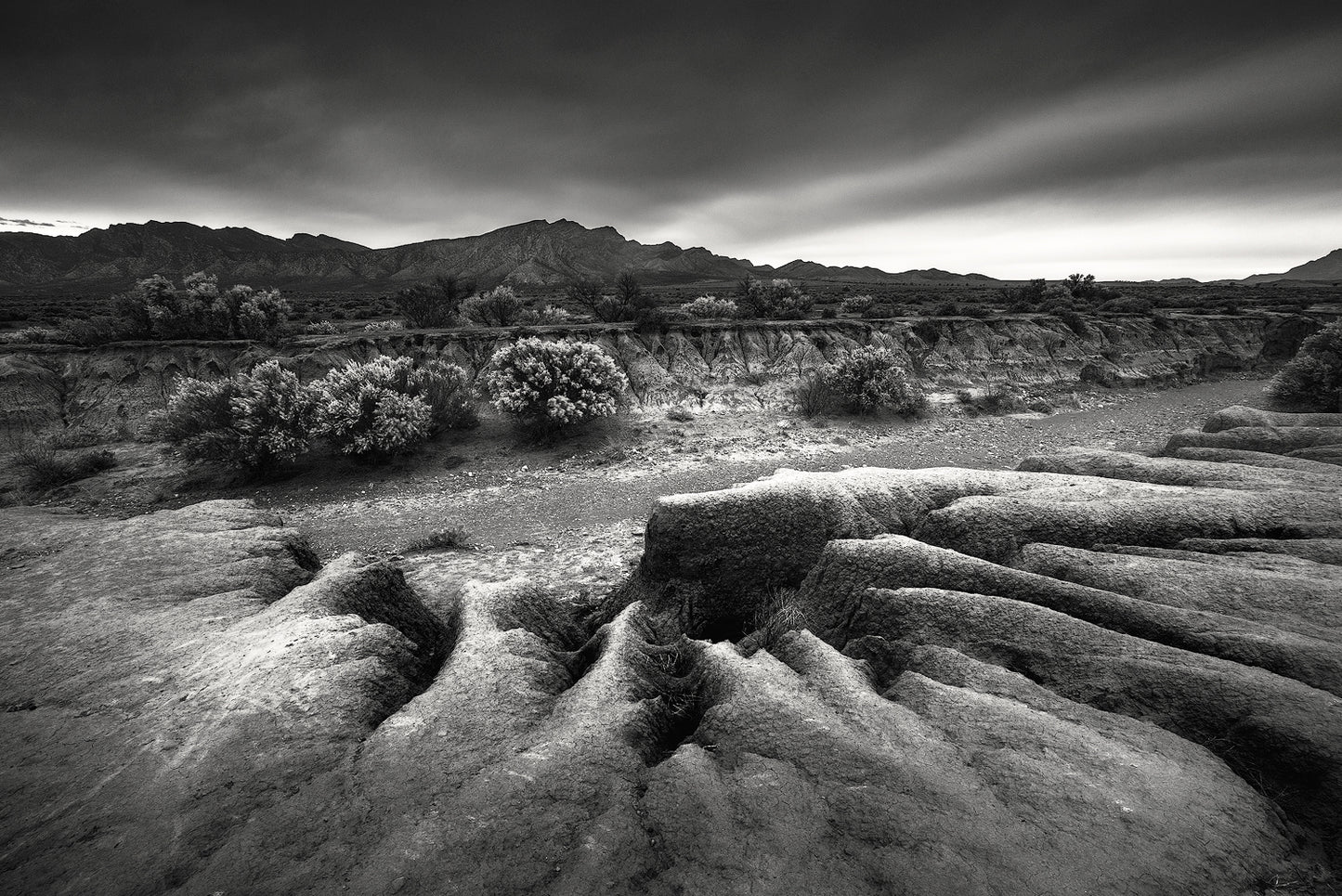 Alpha - Soul Deep Series