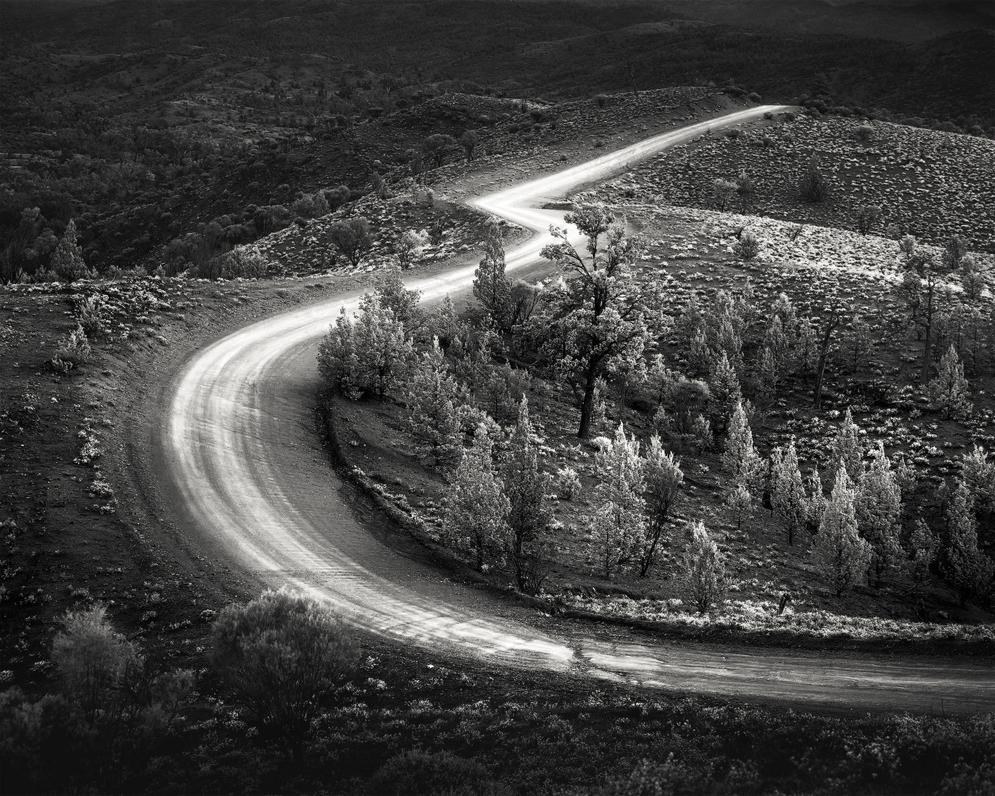 Snake - Soul Deep Series