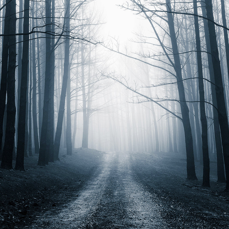 Tomorrow's Dream - Rebirth Series