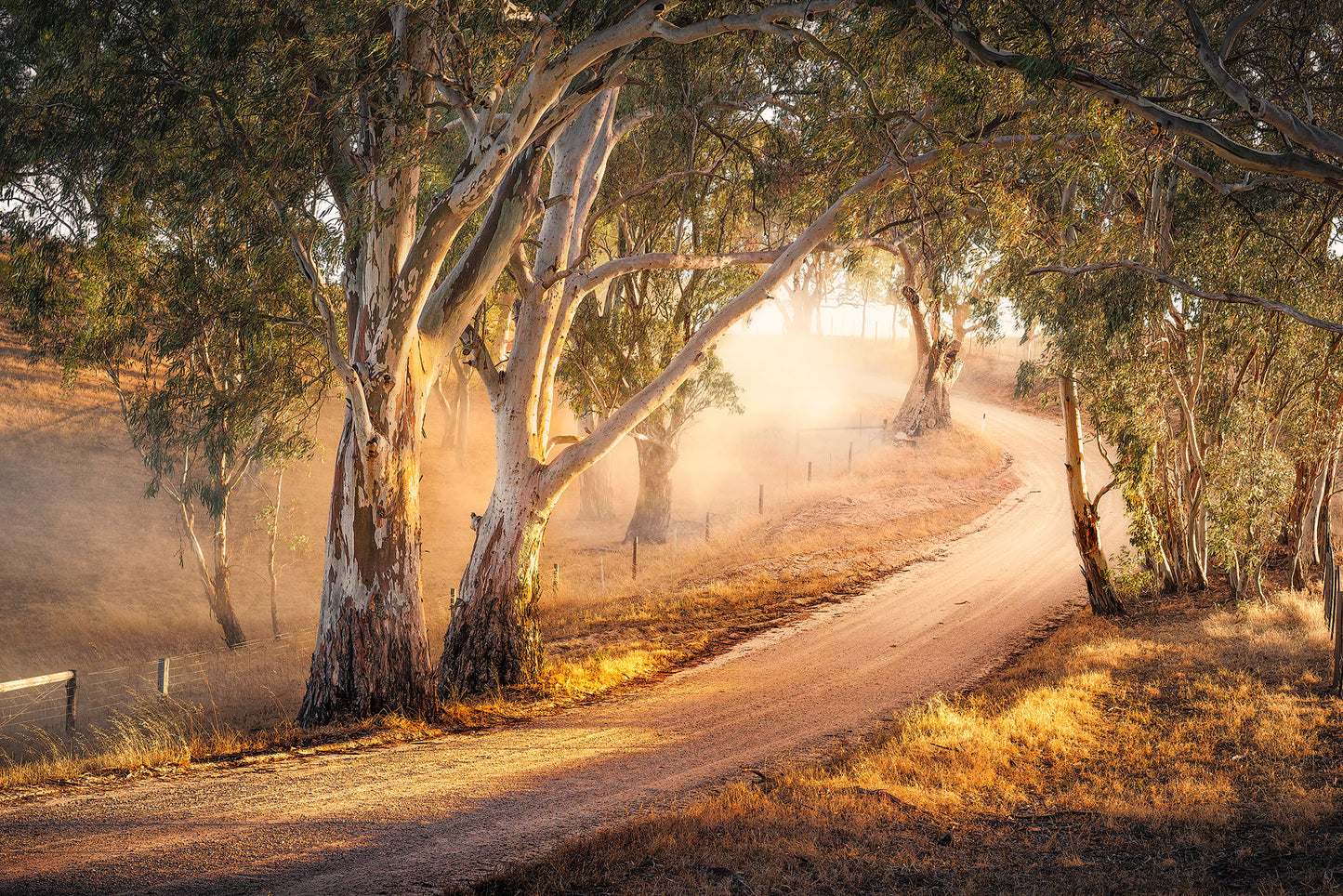 Memories - Premium Collection