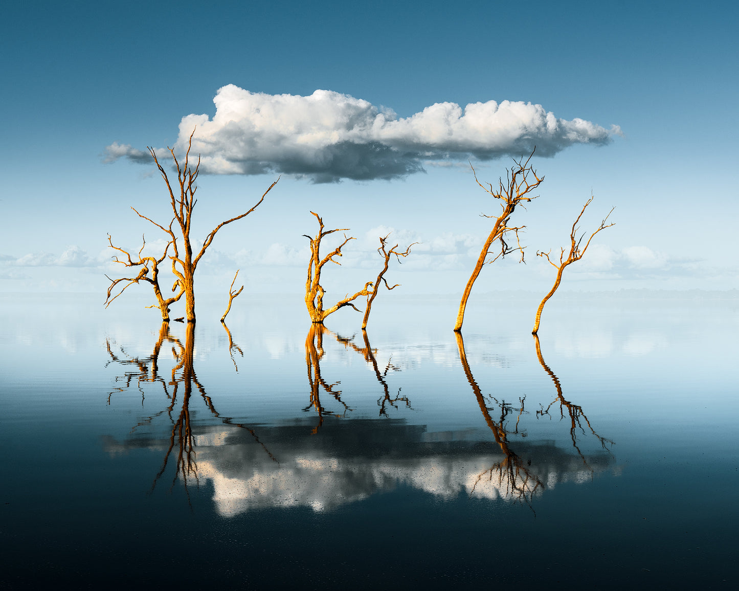 Reflector - Premium Collection