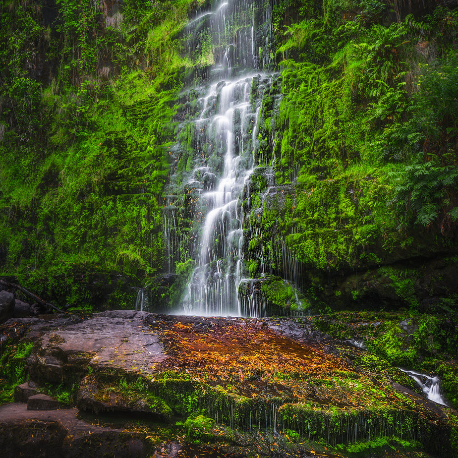 Smooth Flow - Mini Range