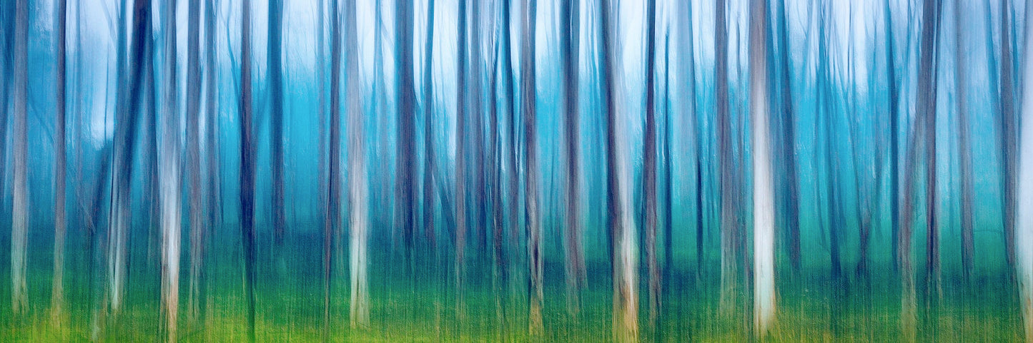 The Movement - Premium Collection