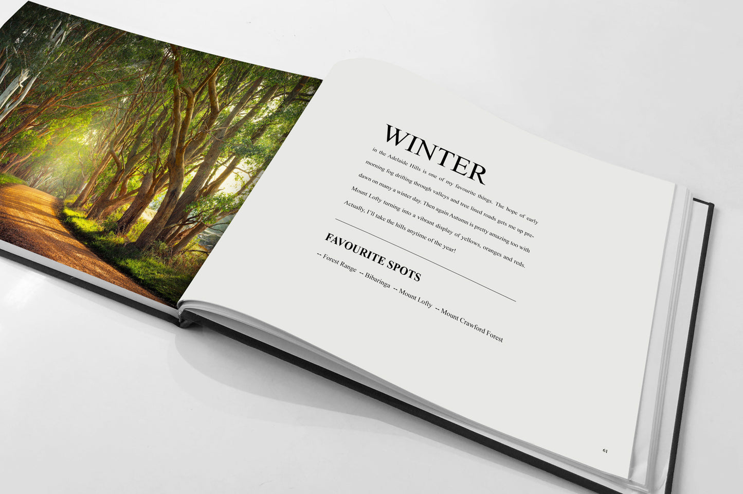 Southern Comfort Book