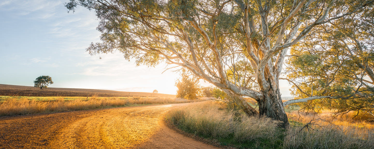 The Bend