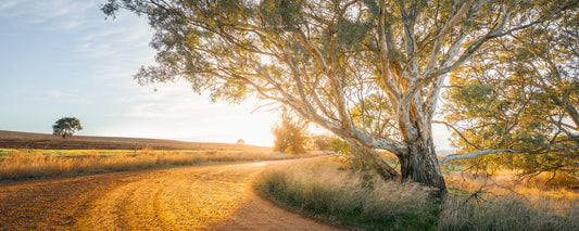 The Bend