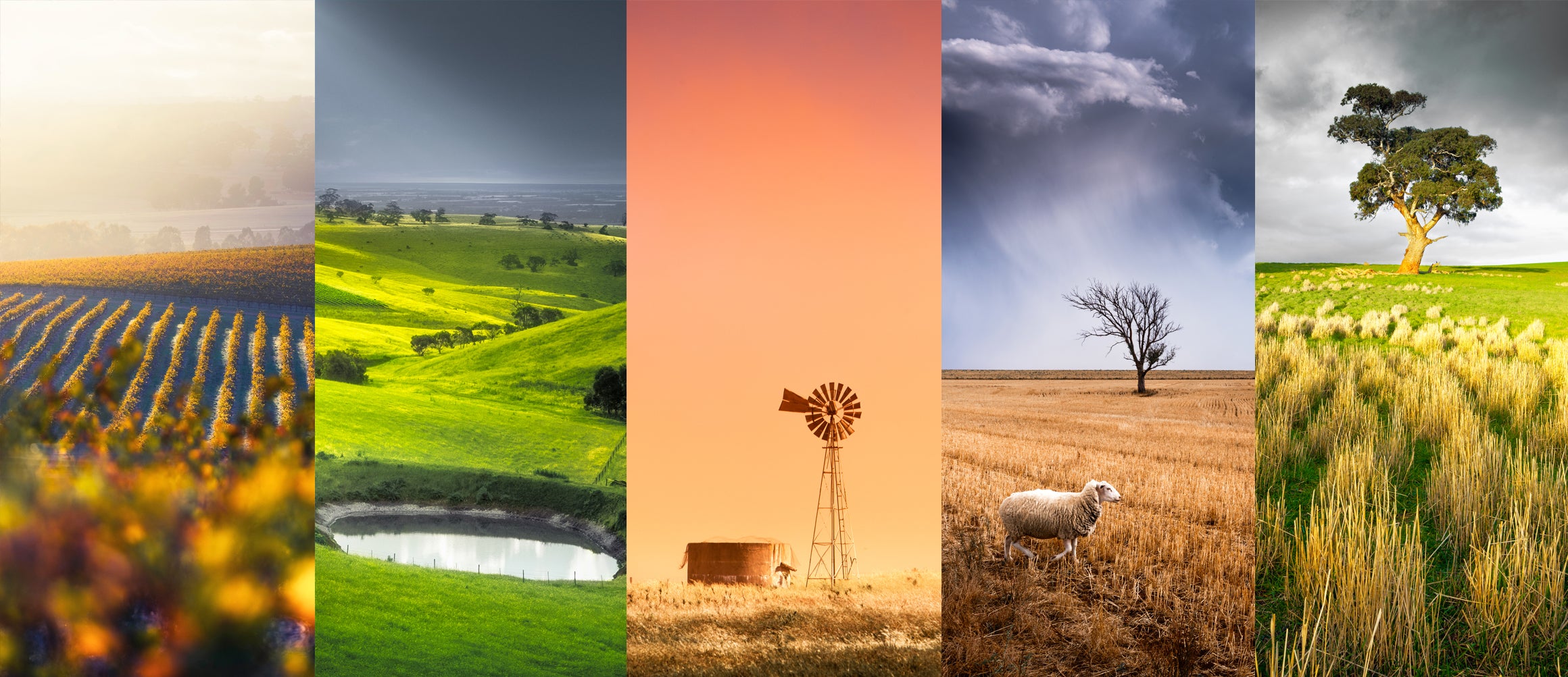 Wallpaper Pack - Rural