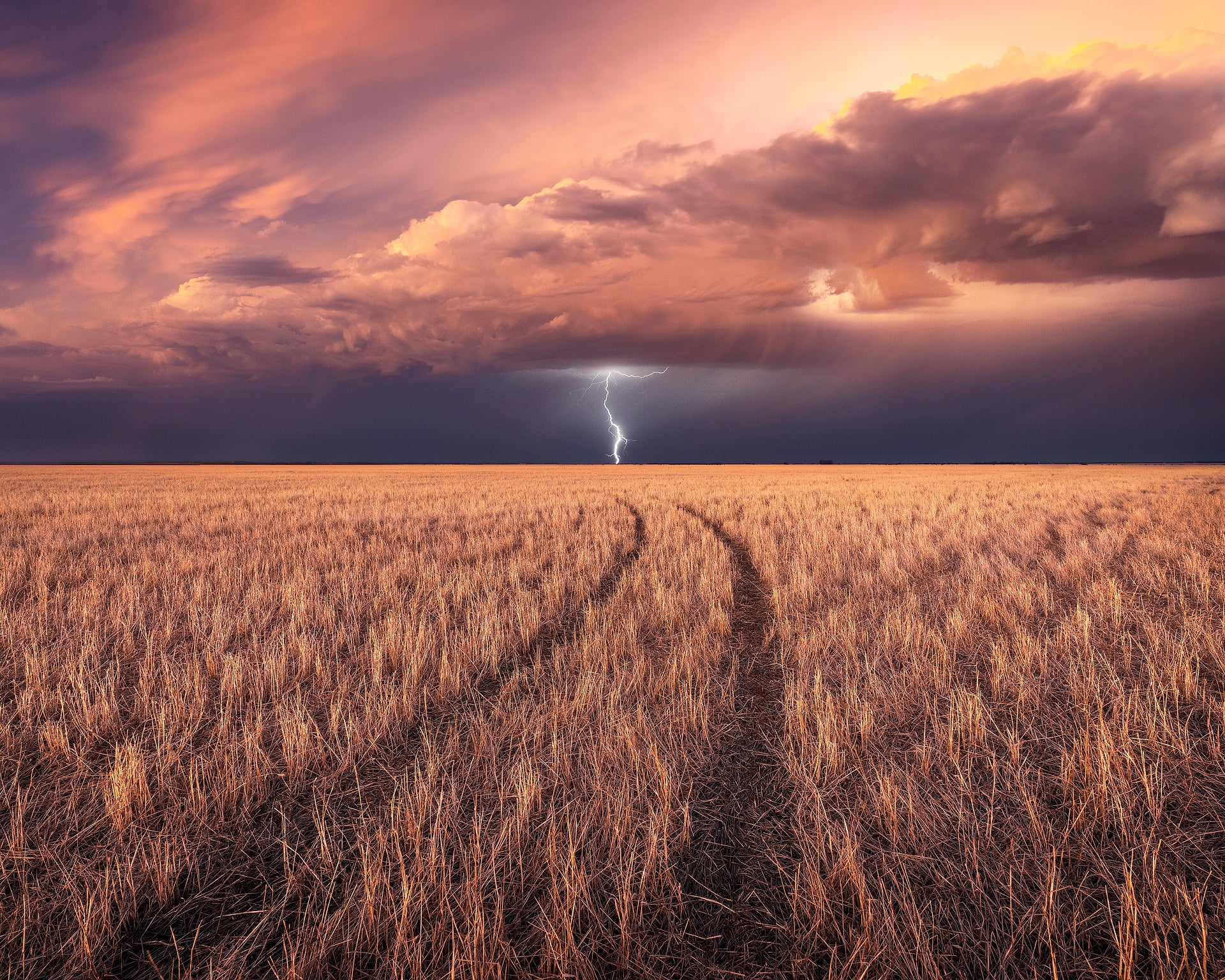 Lightning strike over a field in South Australia