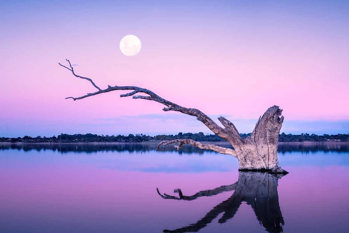 The moon rises at Lake Bonney, South Australia